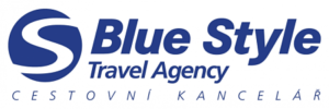 blue style logo