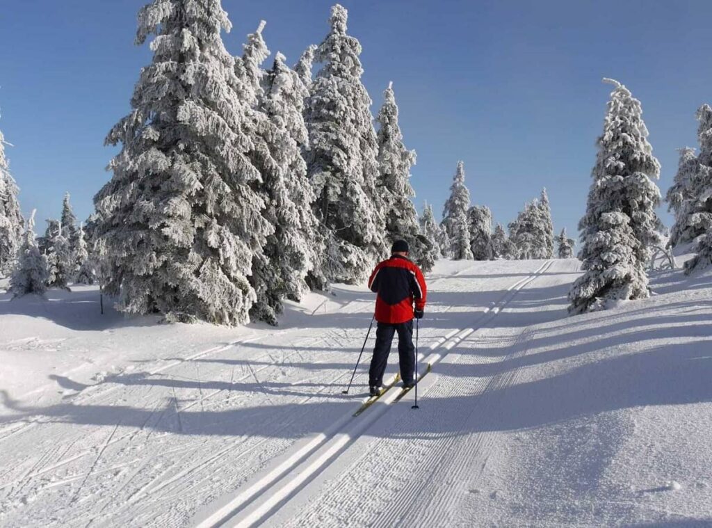 Běžkařská trať Lukáš Bauer Tour