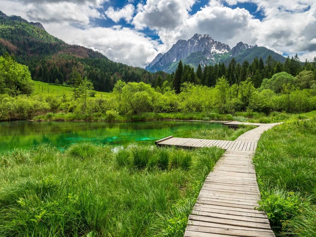 Zelenci, Slovinsko